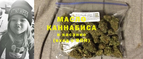 гашик Пестово