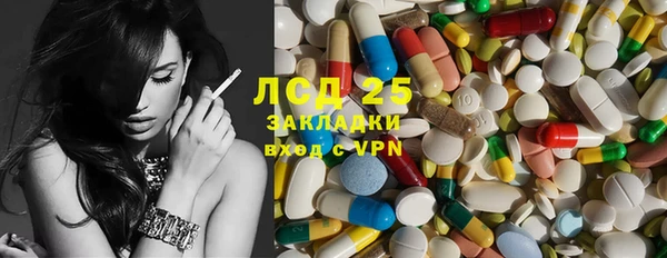 гашик Пестово